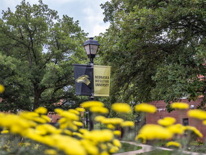 Campus beauty shot with NWU sign on a light pole.