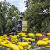 Campus beauty shot with NWU sign on a light pole.