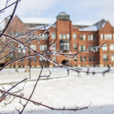 Photo of campus snow.